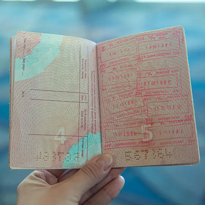Visa Services Bizniz helping you get the UAE visa you require
